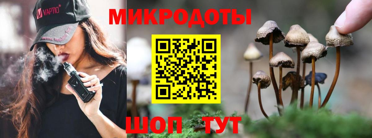 Галлюциногенные грибы прущие грибы  Псилоцибиновые грибы ЛСД  Вход с VPN  Елизово 